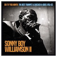 Sonny Boy Williamson II - Do It If You Wanta: The Best Trumpet & Checker A-sides 1951-62 (2025) MP3