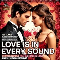 VA - Love Is In Every Sound (2025) MP3