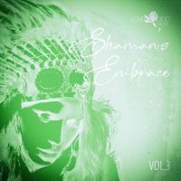 VA - Shaman's Embrace, Vol.03 (2025) MP3