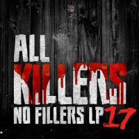 VA - All Killers, No Fillers 17 (2025) MP3