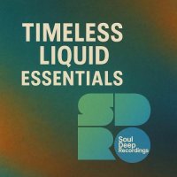 VA - Timeless Liquid Essentials (2025) MP3