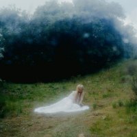 Wisp - If Not Winter (2025) MP3