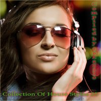 VA - Collection Of House Styles 25 (Compiled by tokarilo) (2025) MP3