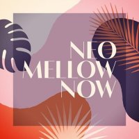 VA - Neo Mellow Now (2025) MP3