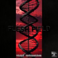 Flesh Field - Viral Extinction (Remastered) (2025) MP3