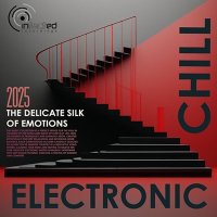 VA - The Delicate Silk Of Emotions (2025) MP3