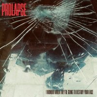 Prolapse - I Wonder When They're Going to Destroy Your Face (2025) MP3