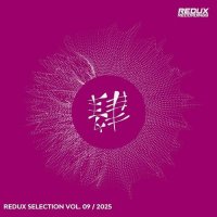 VA - Redux Selection, Vol. 9 2025 (2025) MP3