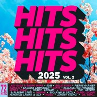 VA - Hits Hits Hits 2025 Vol. 2 (2025) MP3