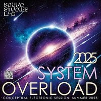 VA - System Overload (2025) MP3
