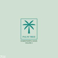 VA - Palm Tree Downtempo Oasis [Vol. 2] (2025) MP3