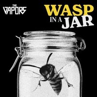 The Vapors - Wasp in a Jar (2025) MP3