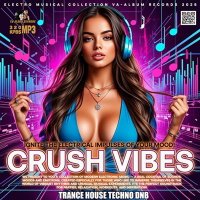 VA - Crush Vibes (2025) MP3