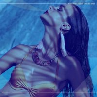 VA - Noir Lounge Elegant Chillout Vibes (2025) MP3