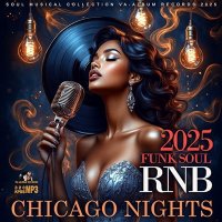VA - Chicago Nights (2025) MP3