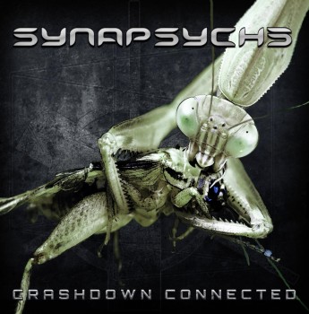 Synapsyche - 12 Albums (2014-2025) MP3 Synapsyche - 12 Albums (2014-2025) MP3