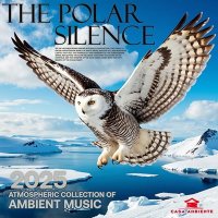 VA - The Polar Silence (2025) MP3