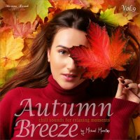 VA - Autumn Breeze, Vol. 9 [Chill Sounds for Relaxing Moments] (2025) MP3