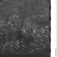 ��-2 - �������� ���� XX (2025) MP3