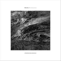 Mikkel Rev - The Art of Levitation (2025) MP3
