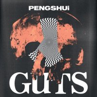 Pengshui - GUTS (2025) MP3