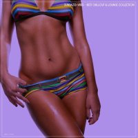 VA - Sundazed Vibes [Best Chillout & Lounge Collection] (2025) MP3