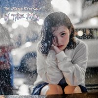 The Black Renegade - In the Rain (2025) MP3