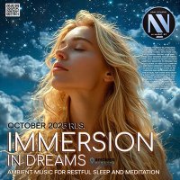 VA - Immersion In Dreams (2025) MP3