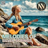 VA - Melodies Of Silver Stri�gs (2025) MP3