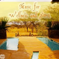 VA - Music for Wellness and Spa (2023) MP3