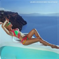 VA - Wellness & Spa Resort Perfect Chillout Playlist (2025) MP3