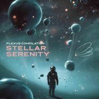 VA - Stellar Serenity (2025) ��3