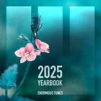 VA - Enormous Tunes - The Yearbook 2025 (2025) MP3