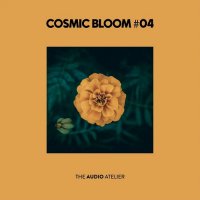 VA - Cosmic Bloom #04 (2025) MP3