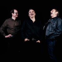 The Salt Collective - 3 Albums (2023-2025) MP3