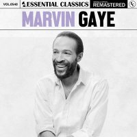 Marvin Gaye - Essential Classics Vol. 540: Marvin Gaye [Remastered] (2024) MP3