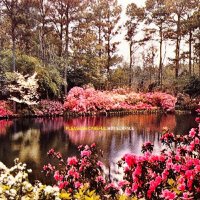 Please Be Careful - Hot Surface (2025) MP3