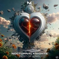 VA - Nocturnal Knights Best Of 2025 (2025) MP3