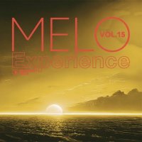 VA - Melo Experience, Vol. 15 (2025) MP3