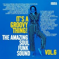 VA - It's A Groovy Thing! Vol.6 [The Amazing Soul Funk Vocal Sound] (2025) MP3