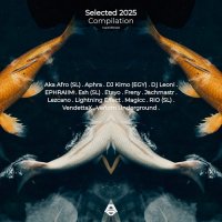 VA - Selected 2025 (2025) MP3