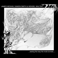 James Mckain, Damon Smith & Weasel Walter - ...seeing The Way The Mole Tunnels... (2025) MP3