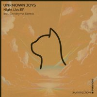 Unknown Joys - Night Lies EP [Incl. Cendryma Remix] (2025) MP3
