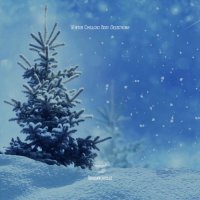 VA - Winter Chillout Best Selections (2025) MP3
