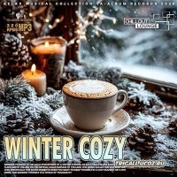 VA - Winter Cozy (2025) MP3
