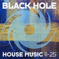 VA - Black Hole House Music 11-25 (2025) MP3