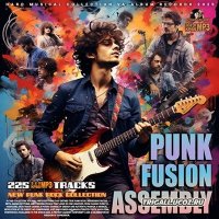 VA - Punk Fusion Assembly (2025) MP3