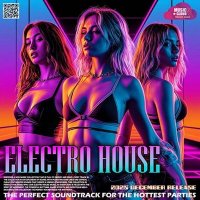 VA - The Perfect Electro House (2025) MP3