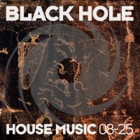 VA - Black Hole House Music 08-25 (2025) MP3