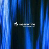 VA - Meanwhile Impressions 2025 (2025) MP3
